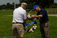 2015 Cottonbaler Reunion - New Orleans, LA